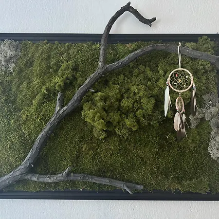 Apartamento Zimowa 16 Srebrna Góra