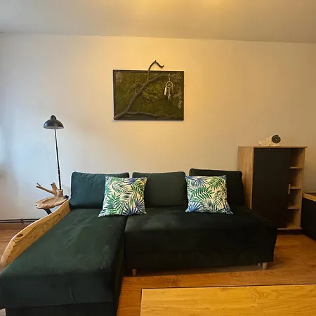 Zimowa 16 Apartment *