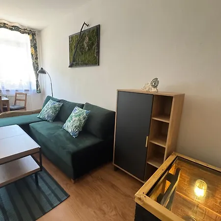 Zimowa 16 Apartment *